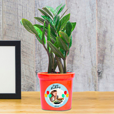 Personalized Reddish Potted Zeze Plant